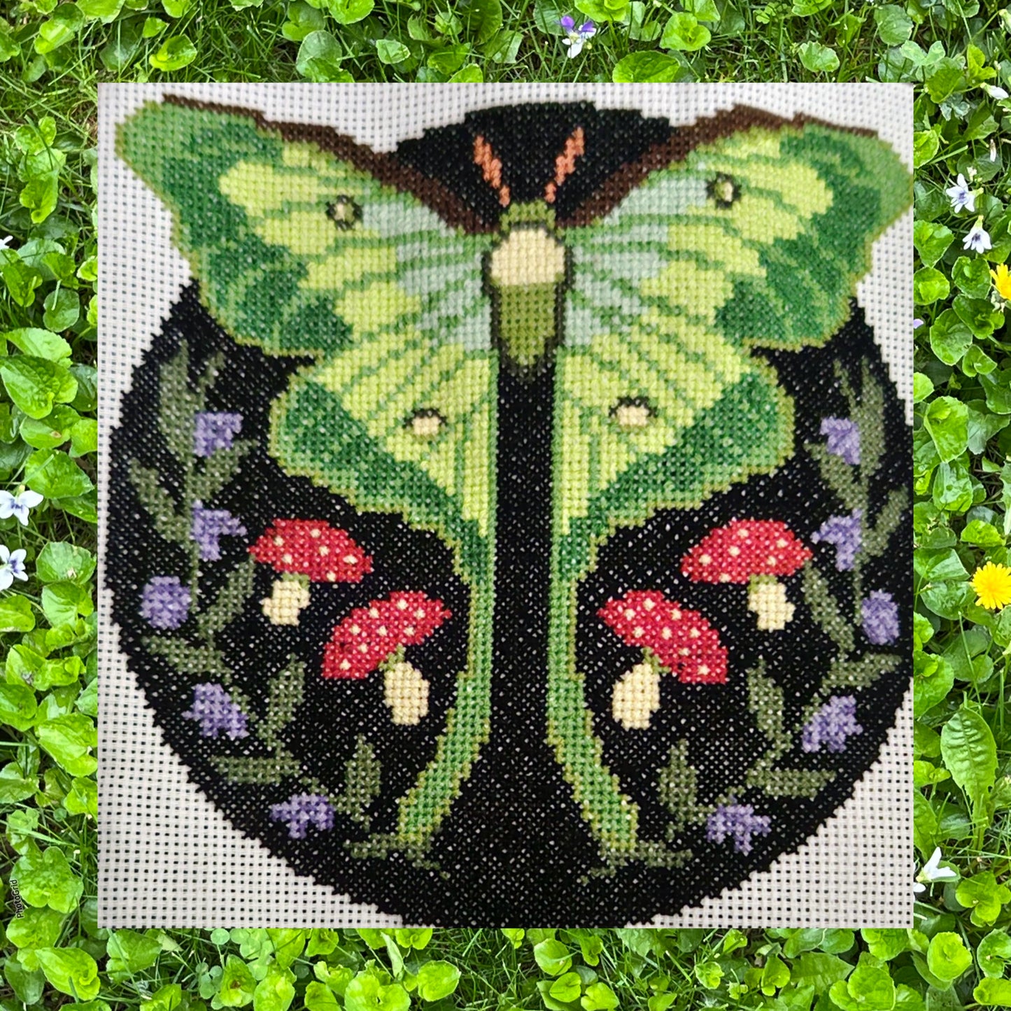 Luna Moth and Mushroom Cross Stitch Pattern Digital Download