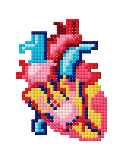 Anatomical Heart Diagram Cross Stitch Pattern